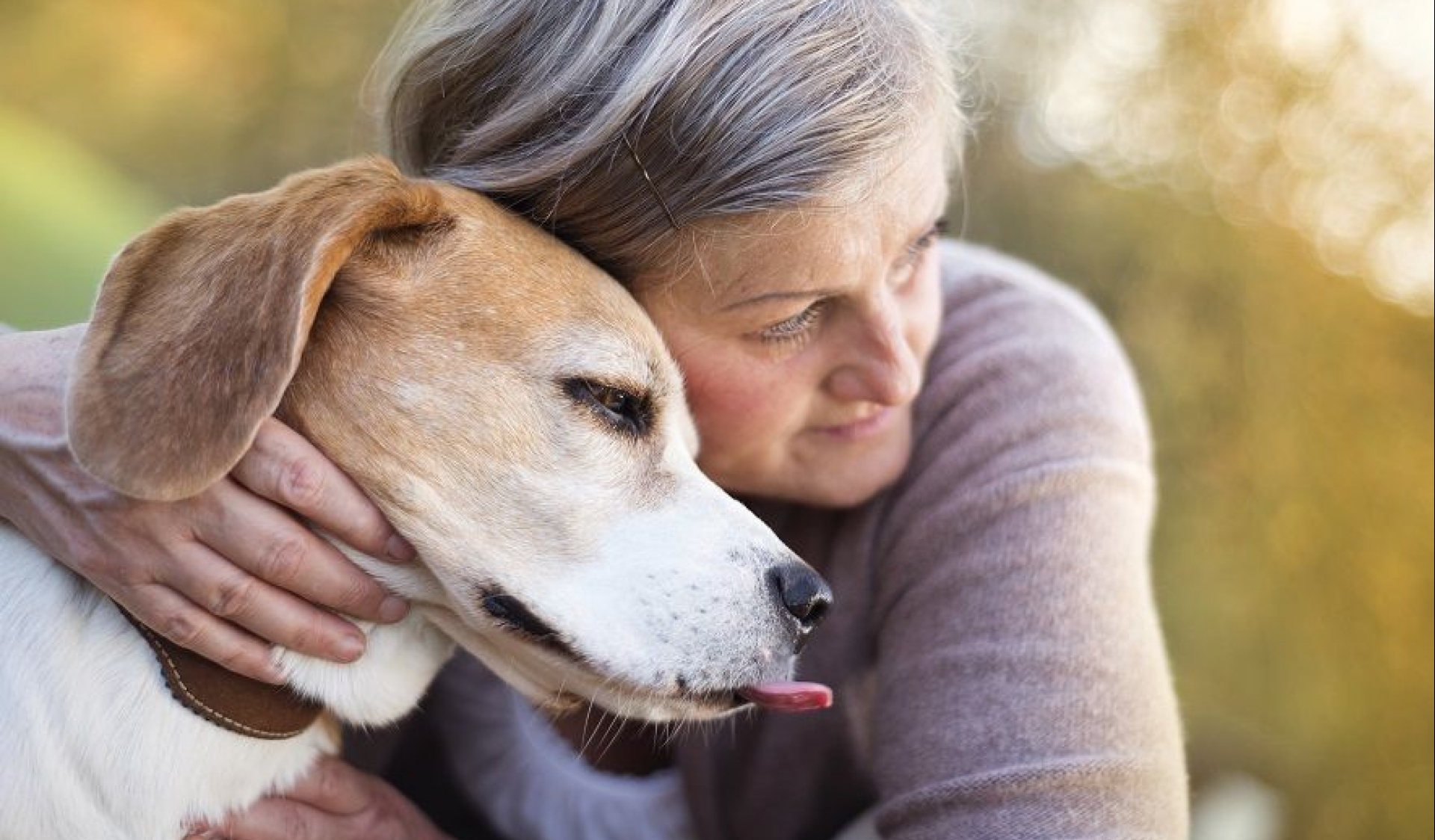 pet therapy anziani
