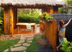 Anara SPA - Kauai Hyatt