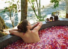 Fivelements SPA