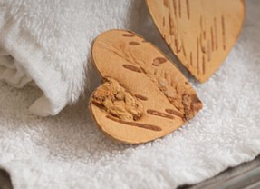 Lindner Hôtel & Alpentherme