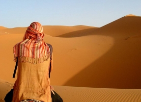 Marrakech Ryads Parc