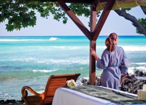 The Fairmont Orchid