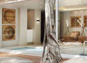 The Saxon Spa