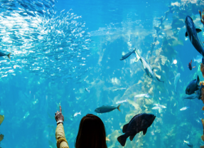 Vista Blue Spa at Monterey Plaza Hotel and Spa